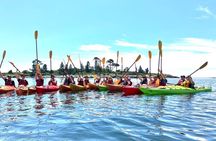 Harbor and Lighthouse Kayak Tour With Lobster Roll