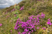 A scenic guided walk through Royal Deeside’s Private Premium Tour