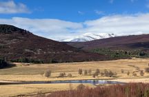 A scenic guided walk through Royal Deeside’s Private Premium Tour