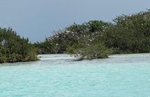 Costa Maya Shore Excursion Bacalar Seven Colors Lagoon Tour
