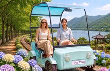 Nami Island, K-garden and Gangchon Rail Bike tour from Seoul