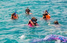 Koh Tan and Koh Madsum Snorkeling Trip By Speedboat From Koh Samui