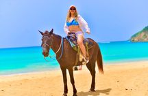 Caribbean Sunset Horseback Experience in Punta Cana