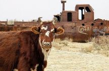 Daytrip from Khiva to the Muynak Ship Cemetery and Nukus Museum