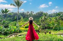 Ubud Tour with Swing Waterfalls and Tirta Empul