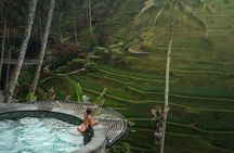 Ubud Sacred Temple Cretya and Hidden Waterfall Tour