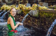 Ubud Sacred Temple Cretya and Hidden Waterfall Tour