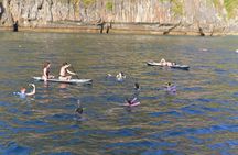 Maya Bay Sunset and Plankton Swimming Tour