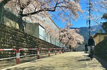 Private Countryside E-Bike Tour in Hida
