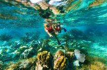 Snorkel in America´s Largest Reef and 3 Hidden Cenotes