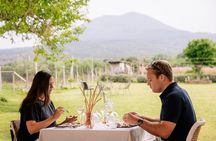 Lunch & Wine Tasting in the National Park of Mt Vesuvius