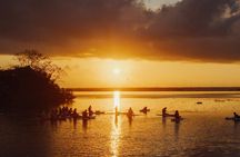 Private SUP Tour (Stand Up Paddleboard)