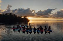 Private SUP Tour (Stand Up Paddleboard)