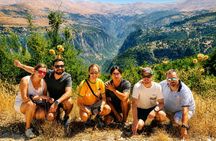 Private Qadisha Valley, Gibran Museum & Cedars Hike | Lunch Incl.