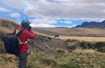 Cotopaxi Volcano Bike Tour