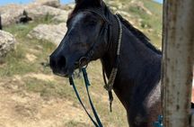 Horseback Riding Adventure and Countryside Picnic in Baku