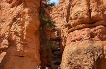 Bryce Canyon Guided Hike: Conquer the Hoodoos