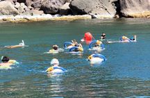 Half day boat South Martinique snorkeling turtles and relaxation