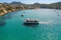 5-Hour Snorkeling in Palma Bay