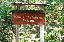 Pacaya Samiria 4D/3N : Black Cayman and Deep Forest