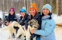 Dog Sled and Snowmobile Combo Experience in Willow Alaska