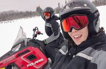 Dog Sled and Snowmobile Combo Experience in Willow Alaska