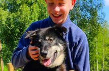 Dog Sled and ATV Combo Experience in Willow Alaska