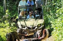 Dog Sled and ATV Combo Experience in Willow Alaska