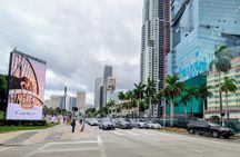 Miami City Tour with Little Havana and Wynwood Stops