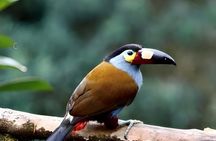 2 Days Private Tour to Mindo with Adventures and Birdwatching