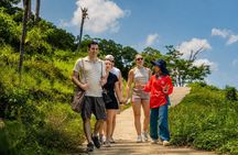 Patong Highlight Elephant Sanctuary with Guide Tour