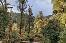 Fansipan Trek One Day – Roof of Indochina