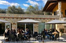 Tasting of Venetian cicchetti among the olive trees at Lake Garda