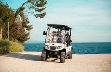 Split: City Tour by Electric Golf Cart