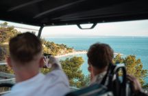 Split: City Tour by Electric Golf Cart