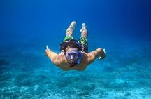 Roatan private Snorkeling Adventure monkey Sloth west Bay Beach.