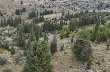 Half Day Tour at Plataea with Military Expert