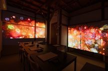 Calligraphy & Immersive Digital Art Experience