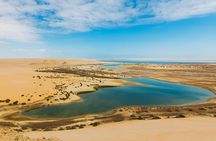 Fayoum Desert Escape Safari Sandboarding and Lunch