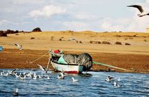 Fayoum Desert Escape Safari Sandboarding and Lunch