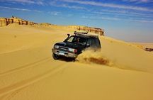 Fayoum Desert Escape Safari Sandboarding and Lunch