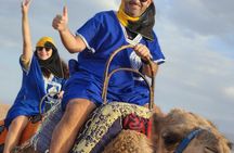 Quad Bike and Camel Ride in Marrakech Palm Groves with Sunset