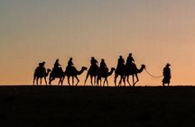 Quad Bike and Camel Ride in Marrakech Palm Groves with Sunset
