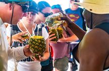 Monkeyland Safari in Punta Cana: Squirrel Monkey Encounter