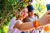 Monkeyland Safari in Punta Cana: Squirrel Monkey Encounter