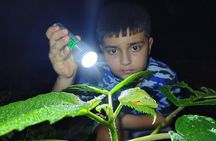 La Fortuna Combo Sloth Watching and Night Walk Adventure