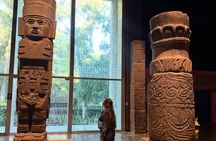 Skip the Line Anthropology Museum Tour with Archaeologist