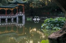 Chongqing Cyber City in 1 Day Private tour
