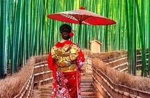 Kyoto Customized Tour with Guide - Explore the City in One Day