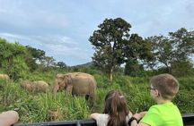 Minneriya National Park Jeep Safari Adventure